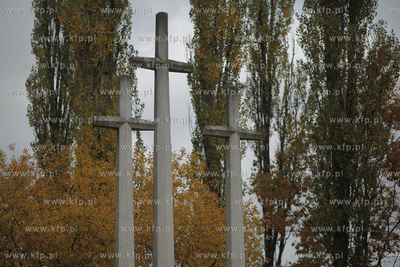 Cmentarz zolnierzy francuskich w Gdansku. 23.10.2012...