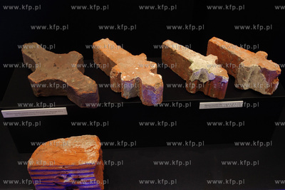 Uroczyste otwarcie Piwnicy Romanskiej z XIIIw., ktora...