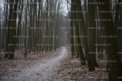 Trójmiejski Park Krajobrazowy. Szlak niebieski, przedłużenie...