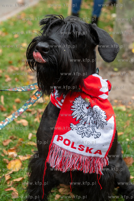 Gdańsk. Parada z okazji Narodowego Święta Niepodległości....