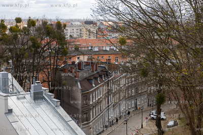 Wydarzenie kulturalne „Biskupia Górka bliżej…...