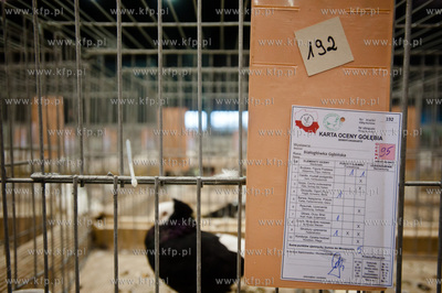 Gdansk. Gdansk. Amber Expo. 8. Miedzynarodowe Targi...