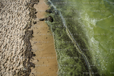 Gdańsk. Czerwona flaga na kąpielisku miejskim w Brzeźnie,...