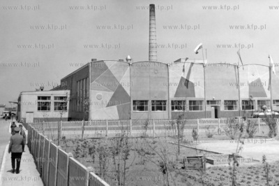 Kombinat mleczarski w Nowym Dworze na Żuławach. 16.06.1964...
