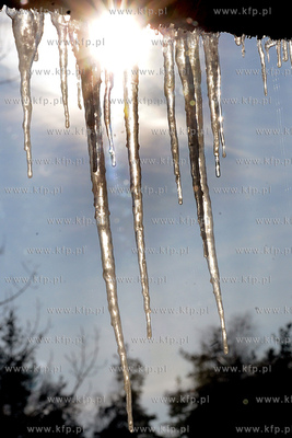 Centrum Edukacji Promocji Regionu w Szymbarku. Nz....