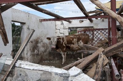 W wyniku trąby powietrznej, która przeszła nad ...