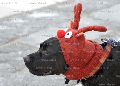 Sopot. Molo. Final Wielkiej Orkiestry Swiatecznej Pomocy....