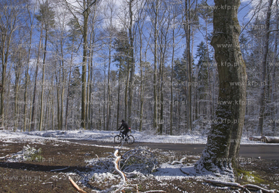 Aktywny przedpołudnie w Trójmiejskim Parku Krajobrazowym....