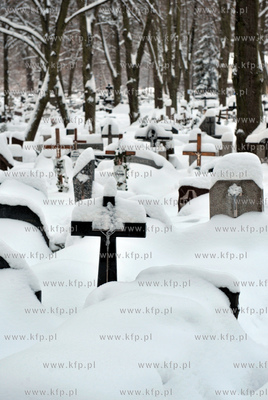 Zasniezony cmentarz w Oliwie. 
26.12.2010
fot. Maciej...