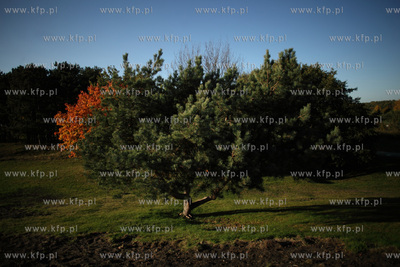 Gdansk. Park Ronalda Reagana.
17.10.2012
fot. Krzysztof...