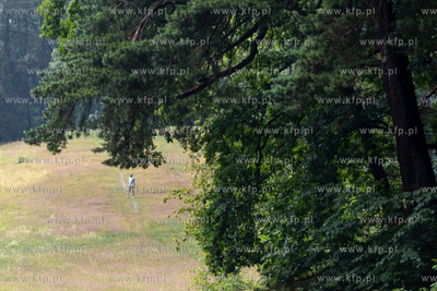 Sopot. Łysa Góra. Festiwal „Piano w naturze Sopot”....