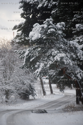 Ggansk. Gorki Zachodnie. Osniezony zimowy krajobraz...