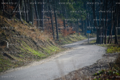 Gdansk. Oliwa, Trojmiejski Park Krajobrazowy. Asfaltowa...