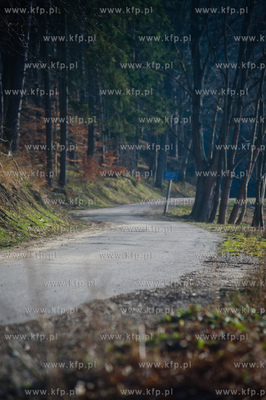 Gdansk. Oliwa, Trojmiejski Park Krajobrazowy. Asfaltowa...