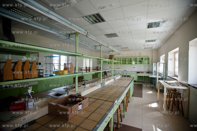 Gdansk. Wyspa Sobieszewoska. Teren Stacji Badawczej...