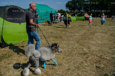 Sopot. Hipodrom. Miedzynarodowa Wystawa Psow Rasowych.
23.08.2015
fot....