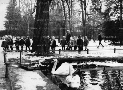 Dzieci na spacerze w gdanskim parku Oliwskim. 03.1964...