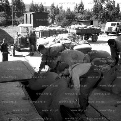 0000997z_sierpien1967
Fot. Zbigniew Kosycarz / KFP
ZAKAZ...