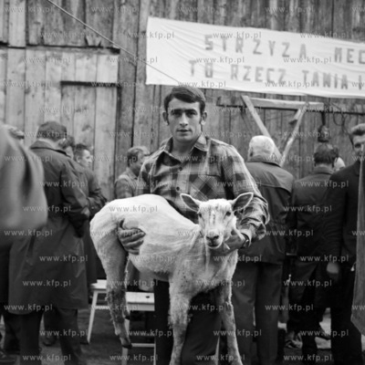 Konkurs strzyzenia owiec. 
10.1969
3pazdziernik69_z.kosycarz_p7
Fot....