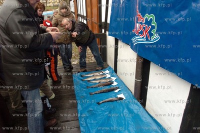 Na rzece Slupi od polnocy mozna odlawiac trocie i lososie,...