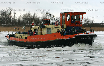 Szczecin. Wspolna akcja polskich ( Dzik, Lis, Zbik,...