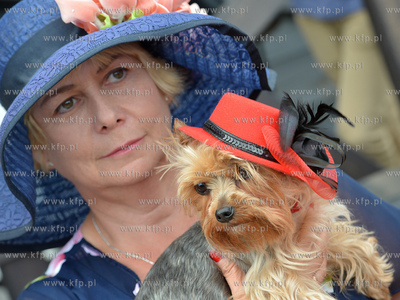 Konkurs Modowy na najlepszy kapelusz rozganizowany...