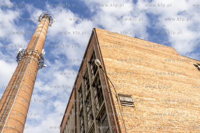 Botaniczny Pruszcz. Spacer badawczy śladem roślin...