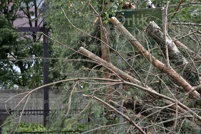 Skutki wichury na Pomorzu. Orlik na Kaszubach w gminie...