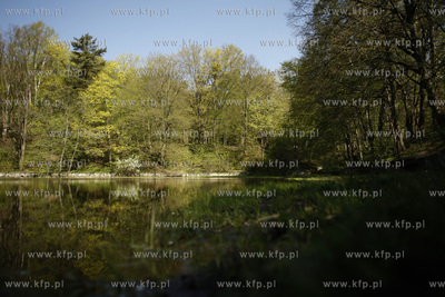 Sopockie Morskie Oko czyli Staw Nowowiejskiego malowniczy...