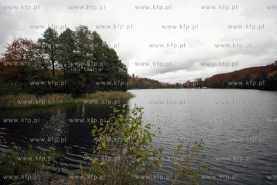 Jezioro przywidzkie.
17.10.2014
fot. Krzysztof Mystkowski...