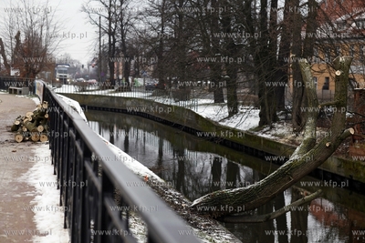 Rusza przebudowa kanalu Raduni w Pruszczu Gdanskim.
23.01.2015
fot....