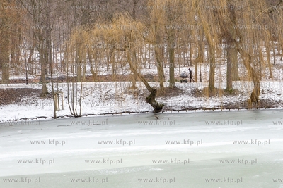 Zima w Parku Oruńskim.  04.02.2019 / Fot. Anna Rezulak...