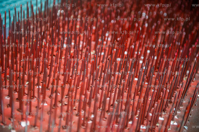 Politechnika Gdanska. XIII Baltycki Festiwal Nauki....