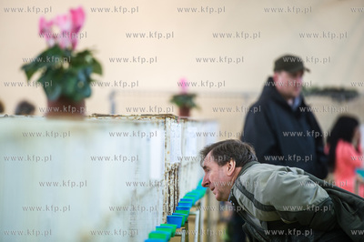 Zespol Szkol Rolniczych w Rusocinie. Wystawa Golebi...