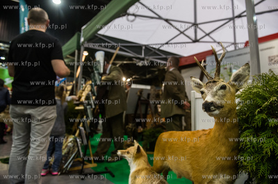 Miedzynarodowe Targi Gdanskie Amber Expo. Free Time...