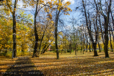 Gdańsk. Jesien w Parku Steffensa.
30.10.2016
fot....