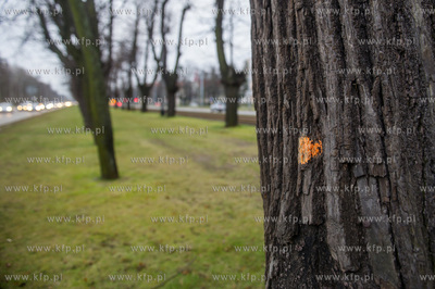Gdańsk. Znajdująca się w ciągu Alei Zwyciestwa,...
