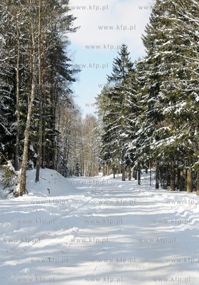 Szymbark /Kartuz. Zima na Kaszubach.
26.03.2009
Fot....