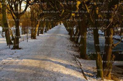 Park Oliwski zima.
30.01.2011
fot. Sebastian Elijasz...