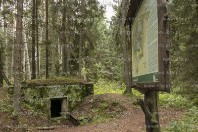 Fortyfikacje Trójkąta Lidzbarskiego ( niem. Heilsberg...