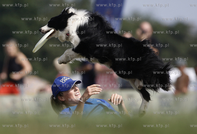 Sopot. Hipodrom. Zawody Frisbee - latajace psy za latajacym...