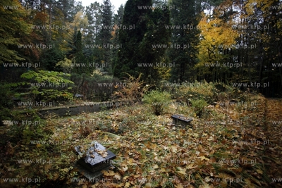 Sopot. Cmentarz Zolnierzy Radzieckich.
24.10.2012
fot....