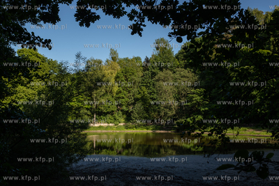 Wysycha staw Morskie Oko w Sopocie.
05.06.2023
fot....