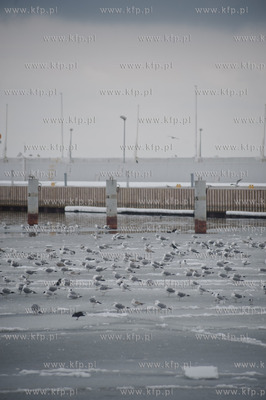 Gdynia. Niedzielne, wielkanocne popoludnie w porcie...