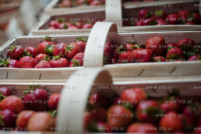 Gdansk. Plac przed siedziba Polskiego Zwiazku Wedkarskiego...