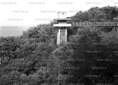 Winda plażowa w Jastrzębiej Górze. (lata60)
1962
0005373z_puck_pruszcz
Fot....