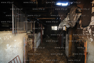 Reda k/Wejherowa. Stadnina Koni Pegaz po pozarze, w...