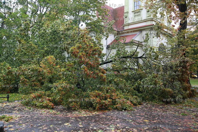 Sopot. Skutki wichury, ktora szalala w nocy w Sopocie....