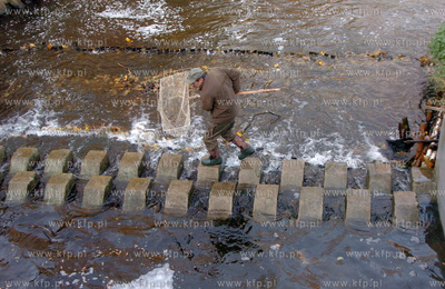 Smoldzino na przeplawce w elektrowni wodnej,  trwa...