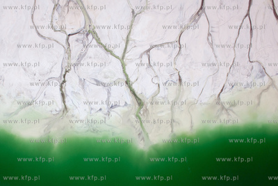 XVI Pomorski Konkurs Fotografii Prasowej Gdansk Press...